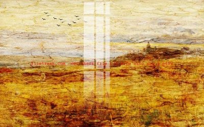 File tranh File gốc in tranh nền tường tổng hợp K56492 (gốc) in trên kính