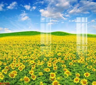 File tranh gốc File gốc in tranh tổng hợp K5875 chủ đề hiện đại