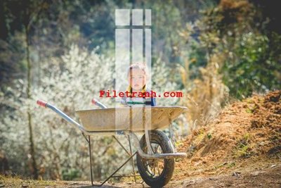 File tranh File gốc in tranh nền tường tổng hợp K59051 (gốc) chủ đề động vật