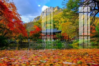 Download file File gốc in tranh tổng hợp K5907 (gốc) in mica cao cấp