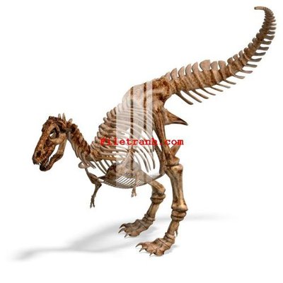 Chi tiết file tranh tráng gương File gốc in tranh nền tường tổng hợp K59089 (ảnh gốc)