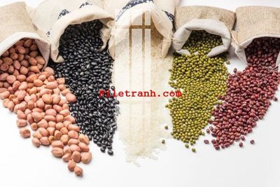 File tranh gốc File gốc in tranh nền tường tổng hợp K59112 chủ đề hiện đại