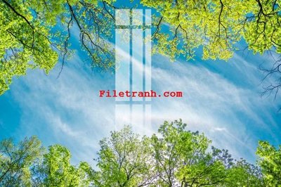 Tải file gốc File gốc in tranh nền tường tổng hợp K59133 (in tráng gương) cao cấpFile gốc File gốc in tranh nền tường tổng hợp K59133 (in ấn) phiên bản độc quyền