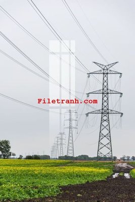 File tranh File gốc in tranh nền tường tổng hợp K59158 (gốc) phong cách tối giản