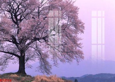 File tranh gốc File gốc in tranh tổng hợp K5924 (sắc nét từng chi tiết)