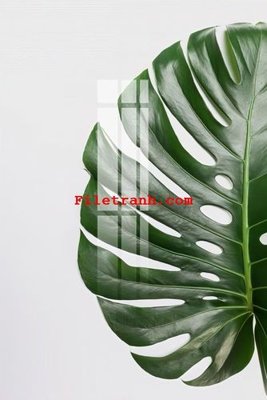 File in ấn File gốc in tranh nền tường tổng hợp K59390 (bản gốc) sắc nét