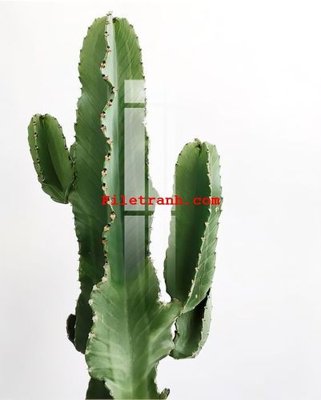 Tải file File gốc in tranh nền tường tổng hợp K59392 (gốc) in ấn chất lượng