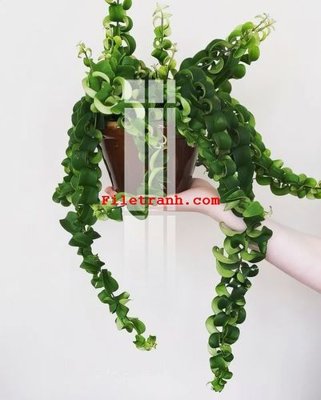 Tải file gốc File gốc in tranh nền tường tổng hợp K59411 (bản PSD) còn layer