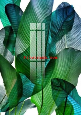 File tranh in mica File gốc in tranh nền tường tổng hợp K59421 (độ phân giải cao)