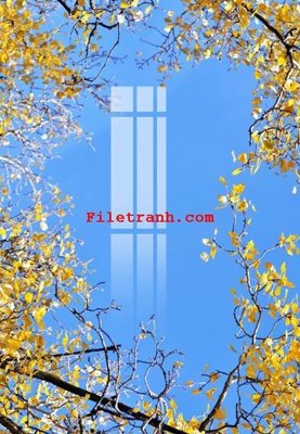 Tải file File gốc in tranh nền tường tổng hợp K59597 (gốc) làm file quảng cáo