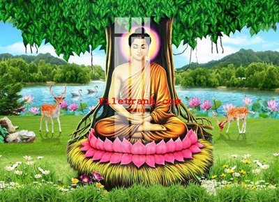 File PSD File gốc in tranh nền tường tổng hợp K59652 (bản gốc) chất lượng nhất