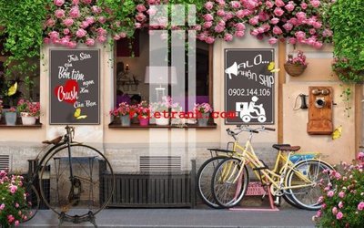 File tranh in mica File gốc in tranh nền tường tổng hợp K59656 (độ phân giải cao)