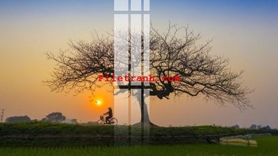 Tệp tin gốc File gốc in tranh nền tường tổng hợp K59769 (chất lượng cao) File gốc in tranh nền tường tổng hợp K59769