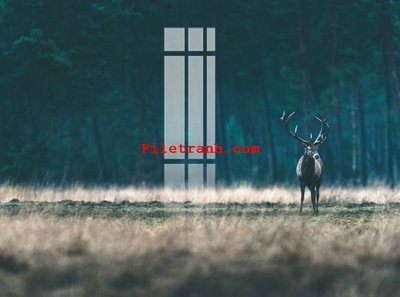 Ảnh mô tả file gốc in mica File gốc in tranh nền tường tổng hợp K59890