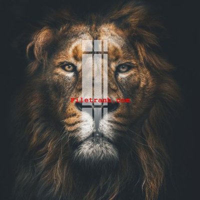 File tranh File gốc in tranh nền tường tổng hợp K60176 (gốc) in vải canvas