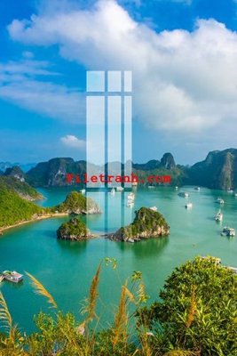 File gốc File gốc in tranh nền tường tổng hợp K60368 (PNG) không nền chất lượng