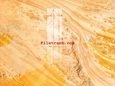 File in lụa File gốc in tranh nền tường tổng hợp K60372 (tân cổ điển) File gốc in tranh nền tường tổng hợp K60372