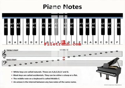 File gốc File gốc in tranh nền tường tổng hợp K60506 (cho in UV) siêu nét