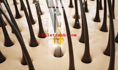 File gốc File gốc in tranh nền tường tổng hợp K60527 (in tráng gương) nghệ thuật