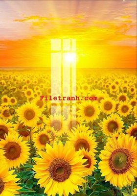 Chi tiết file tranh tráng gương File gốc in tranh nền tường tổng hợp K60542 (ảnh gốc)