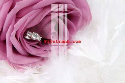 Download file gốc File gốc in tranh nền tường tổng hợp K60595 (độ nét cao)