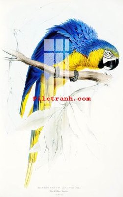 Mua file gốc File gốc in tranh nền tường tổng hợp K61092 (in ấn) tại Filetranh.com