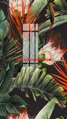 File gốc File gốc in tranh nền tường tổng hợp K61399 (PNG) nền trong suốt