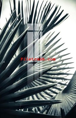 File PSD File gốc in tranh nền tường tổng hợp K61788 (bản gốc) dễ dàng edit