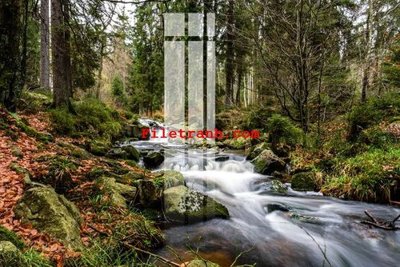 File tranh File gốc in tranh nền tường tổng hợp K61831 (gốc) in trên kính