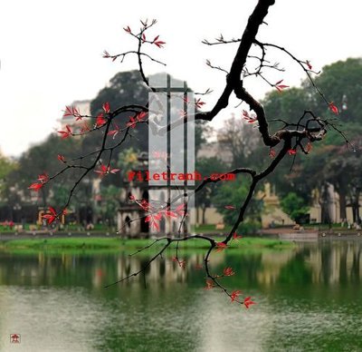 File tranh gốc File gốc in tranh nền tường tổng hợp K62213 (bản quyền) độc đáo