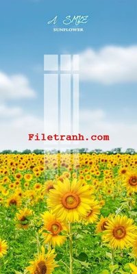 File gốc File gốc in tranh nền tường tổng hợp K62379 (in mica) trang trí