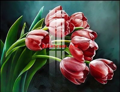 File gốc File gốc in tranh nền tường tổng hợp K62402 (ảnh chi tiết) để in trần