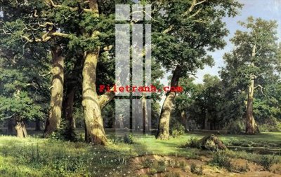 File in trần File gốc in tranh nền tường tổng hợp K62553 (bản gốc) đại dương