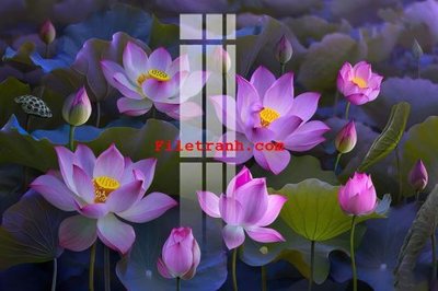 File tranh File gốc in tranh nền tường tổng hợp K62702 (ảnh gốc) độc quyền