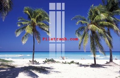 Ảnh gốc File gốc in tranh nền tường tổng hợp K62776 (nét căng) in mica