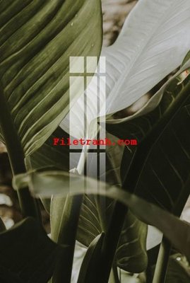 Tải file File gốc in tranh nền tường tổng hợp K63051 (gốc) làm file tranh quảng cáo