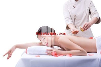 File tranh File gốc in tranh nền tường tổng hợp K63086 (bản gốc) in lụa dán tường