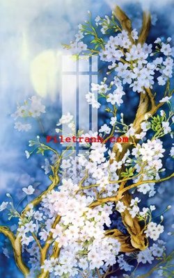 File tranh File gốc in tranh nền tường tổng hợp K63254 (gốc) in vải canvas