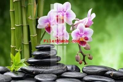 File in trần File gốc in tranh nền tường tổng hợp K63511 (bản gốc) phong cảnh