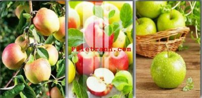 File ảnh File gốc in tranh nền tường tổng hợp K63517 (gốc) cho trang trí nhà hàng