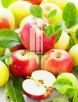 File in mica File gốc in tranh nền tường tổng hợp K63518 (bản gốc) siêu trong