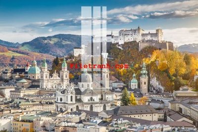 File tranh File gốc in tranh nền tường tổng hợp K63550 (gốc) in film