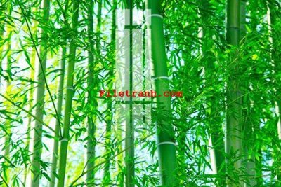 File tranh gốc File gốc in tranh nền tường tổng hợp K63570 (bản đẹp) độc quyền