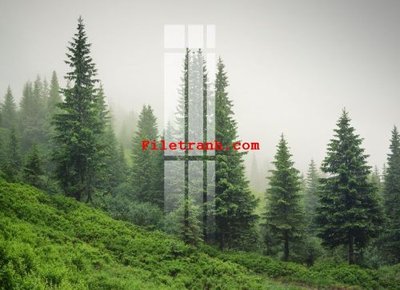 File PSD in ấn File gốc in tranh nền tường tổng hợp K63601 (chất lượng cao)