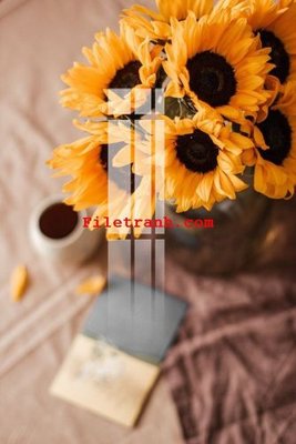 File PSD File gốc in tranh nền tường tổng hợp K63625 (bản gốc) đã tách nền