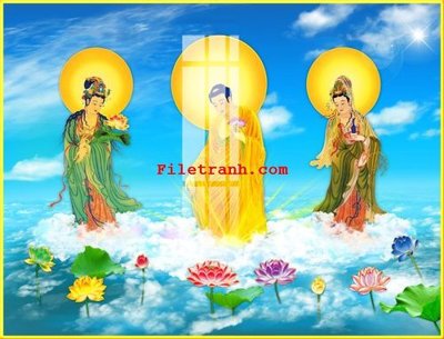 File gốc File gốc in tranh nền tường tổng hợp K63656 (cho in ấn) độc quyền