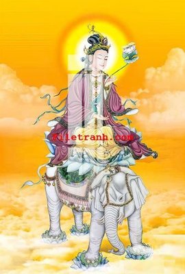 File gốc File gốc in tranh nền tường tổng hợp K64053 (in tráng gương) hiện đại