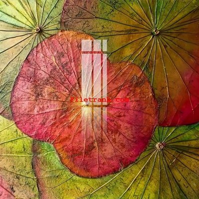 File gốc File gốc in tranh nền tường tổng hợp K64241 (PNG) không nền chất lượng