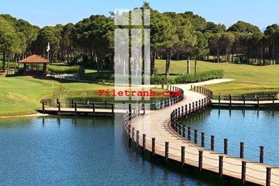 Hình ảnh file gốc in trần nhà File gốc in tranh nền tường tổng hợp K64350