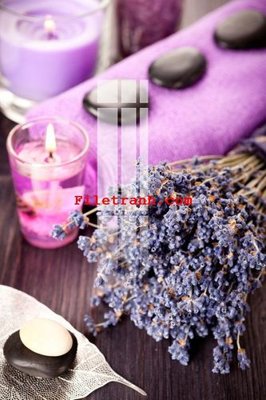 Tải file File gốc in tranh nền tường tổng hợp K64358 (gốc) in trên mọi chất liệu